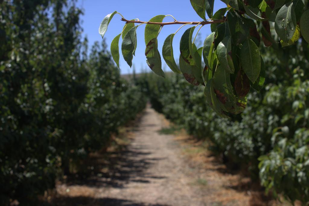 Casa Rural Consuelo Jumilla Pokój zdjęcie